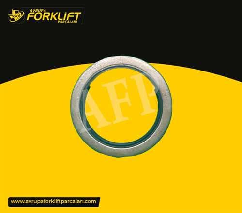 HUB SEAL OUTER 75X100X13 — AFM000955