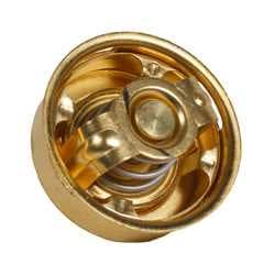 THERMOSTAT — AFM002223