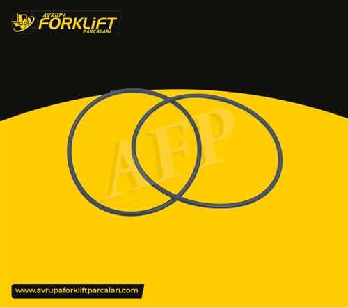 ENGINE LINER O-RING / A490-BPD - CHINA — AFM003291