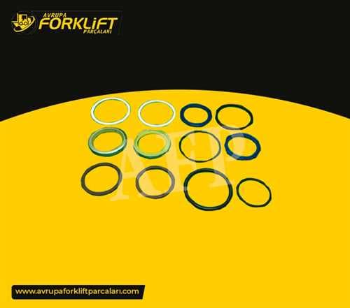 POWER CYLINDER REPAIR KIT — AFM003991
