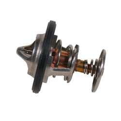 THERMOSTAT — AFM005771