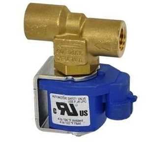 SAFETY VALVE — AFM009898